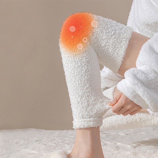 Winter Warm Plush Socks